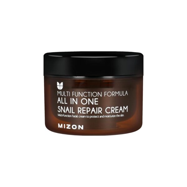 MIZON All in One Snail Repair Cream Snail Mucin with 12 Natural Extracts Korean Recovery Cream for Fine Line & Blemish Care (4.06 fl oz)