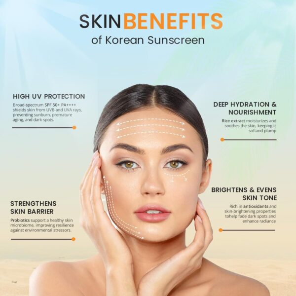 Korean Sunscreen SPF 50 PA++++ - Beauty of Renforcer - Nourishing Skin Protection with Rice and Probiotics UV Defence - For All Skin Types - 1.6 fl oz / 50 ml